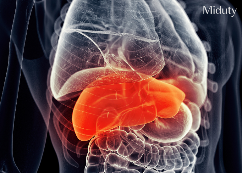 Fatty Liver Symptoms on Face and Skin You Shouldn’t Ignore