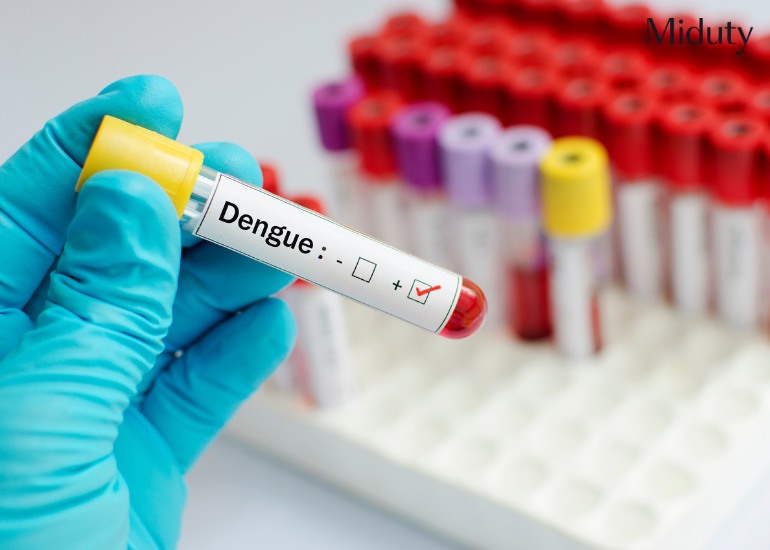 How to Recover from Dengue Fever: A Complete Guide