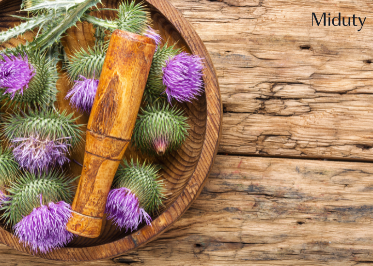 Milk Thistle For Reversing Fatty Liver: The Natural Solution
