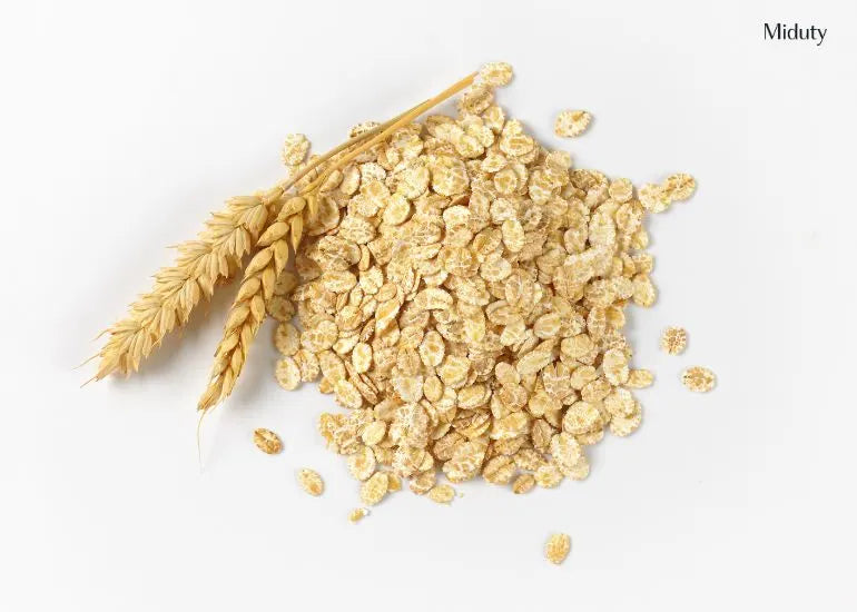 50 gm Oats Protein: Nutrition, Calories, and Health Benefits