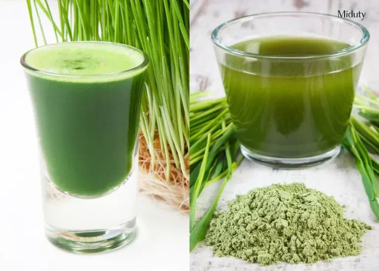 Wheatgrass vs Barley Grass - Which is Healthier for You?
