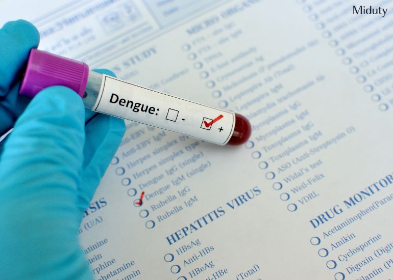 What to Eat in Dengue to Increase Platelets Count: A Life-Saving Guide