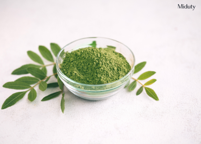 How to Make Moringa Leaf Powder : Step-by-Step At Home DIY Guide