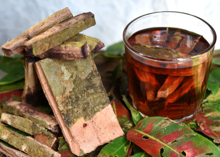 Top 5 Benefits of Arjuna for Your Overall Health