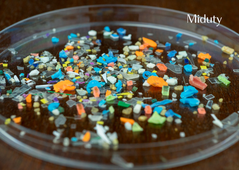 Dangers Of Microplastics in Human Body and How to Remove Them