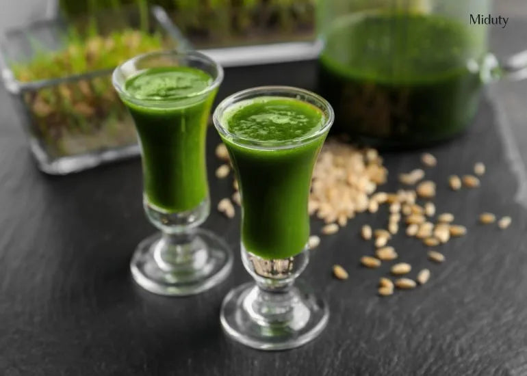 Top 15 Benefits Of Wheatgrass Juice, Nutritional Value And It’s Side Effects