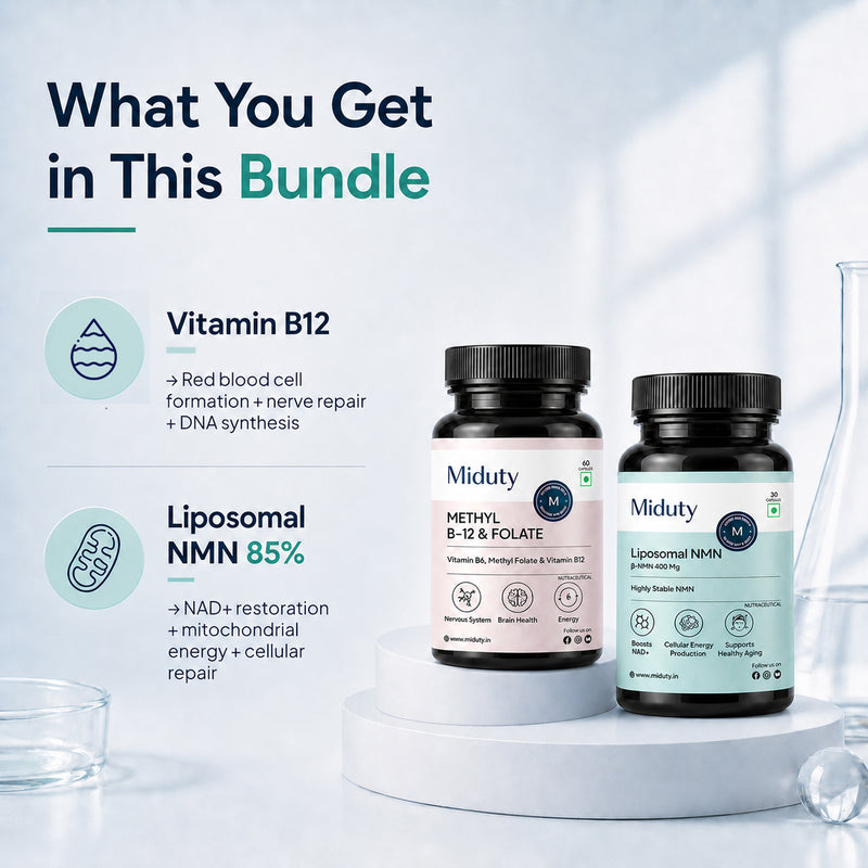 what you will get in this bundle