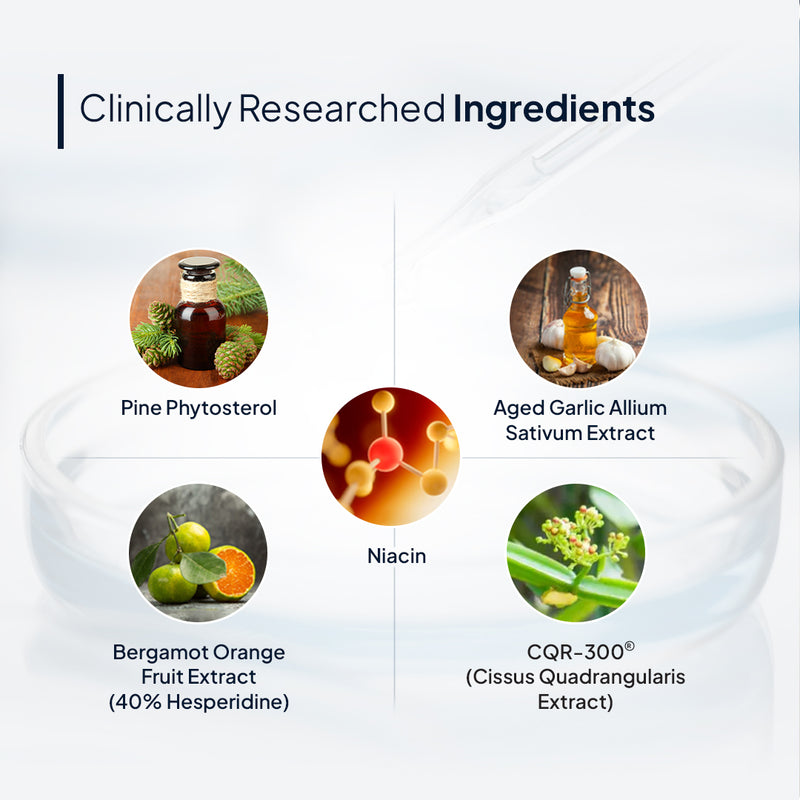 Ingredients in Miduty Cholesterol  Tablets