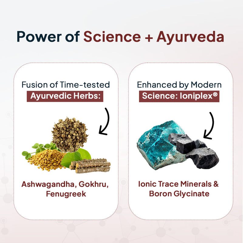 Ingredients in Miduty Testosterone Booster Supplement