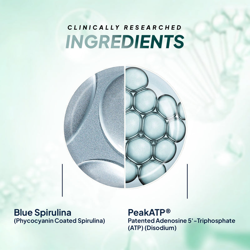 Ingredients in Miduty Blue Spirulina Tablets