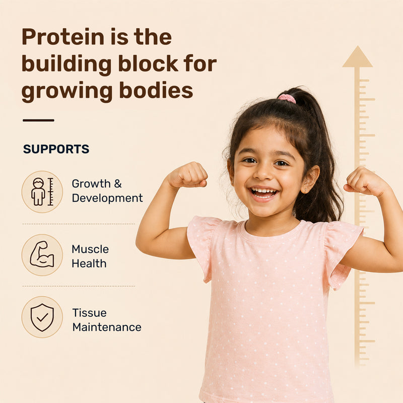 protein is the building block for growing bodies