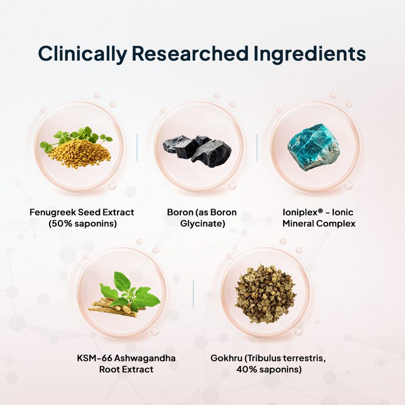 Ingredients in Miduty Testosterone Supplement