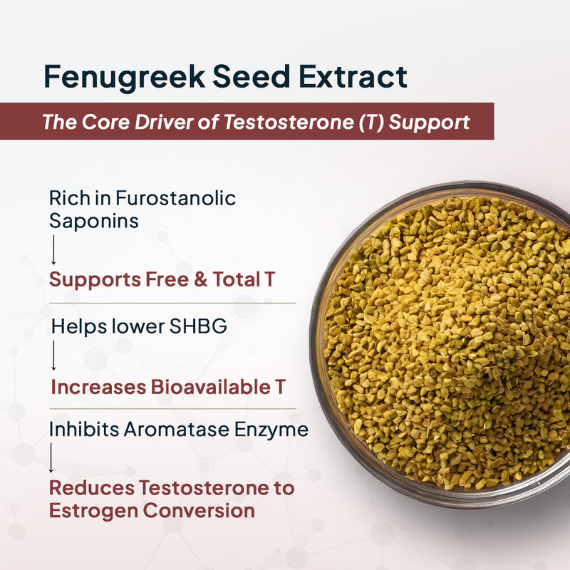 Role of Fenugreek Seed Extract in Boosting Testosterone
