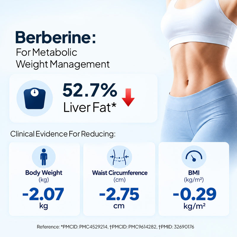 BERBERINE 98%