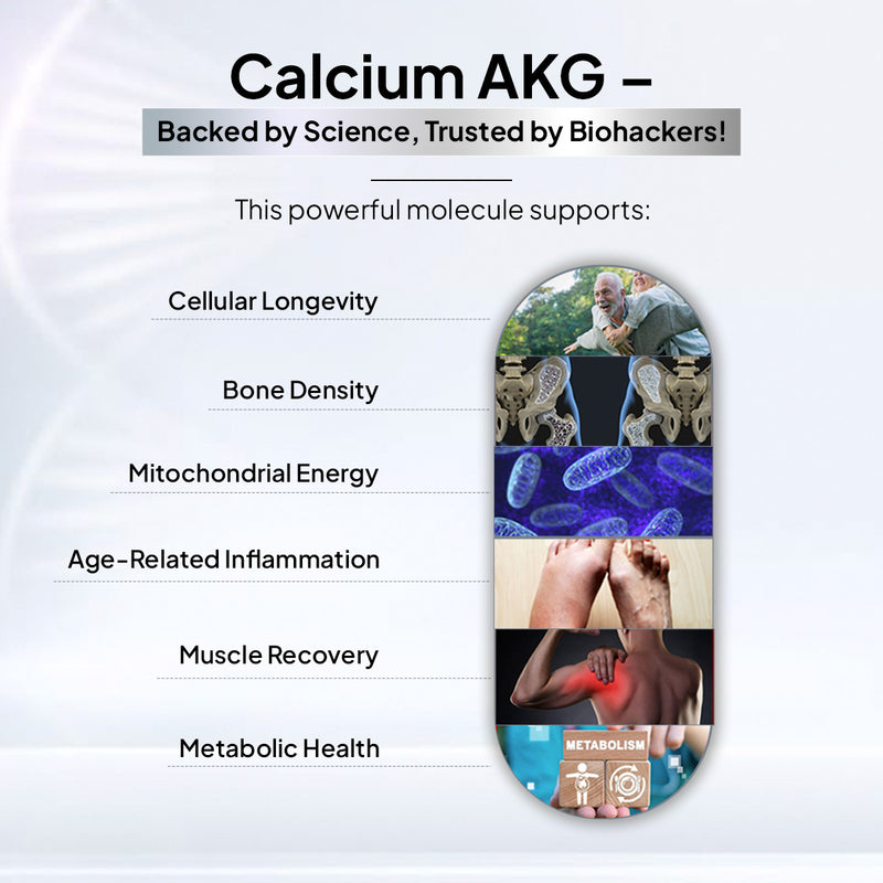 Benefits of Calcium Alpha Ketoglutarate (AKG) Supplement
