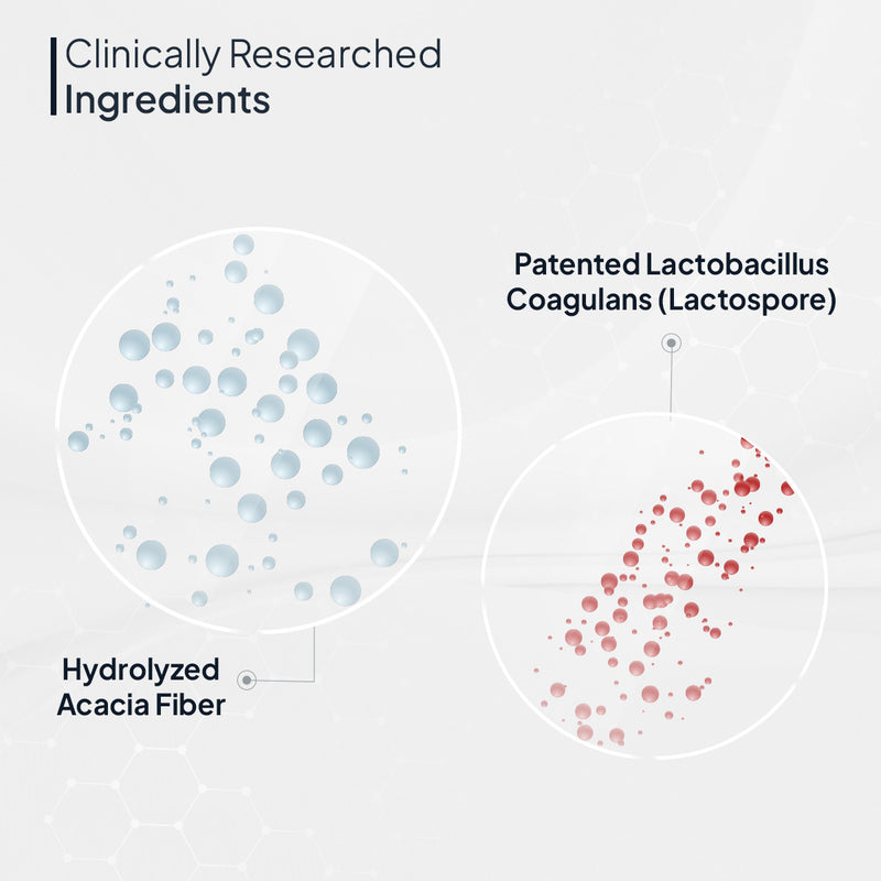 Ingredients in Probiotics and Prebiotics Powder Supplement