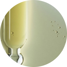 Argireline Peptide Solution C