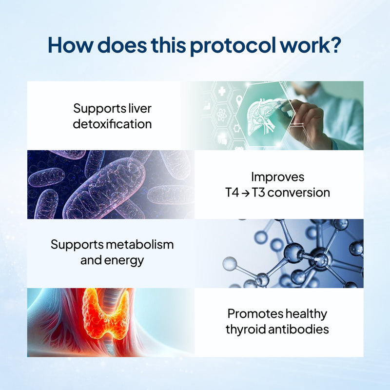 Showing a protocol's effects on liver detoxification, thyroid function, metabolism, and thyroid antibodies.