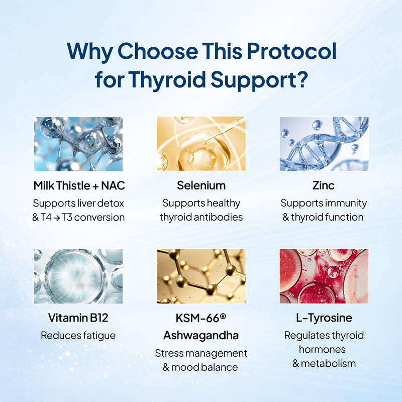 Why choose given protocol for thyroid support