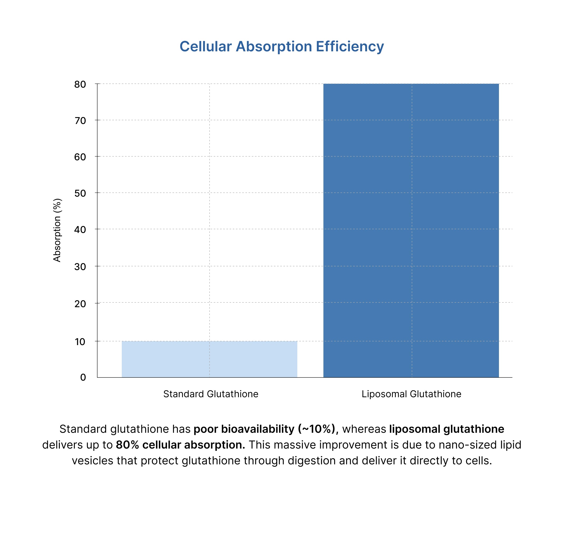 Cellular uptake chart