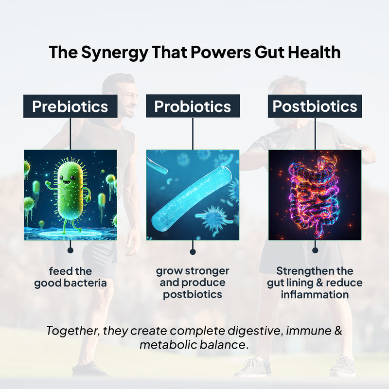 Power of Prebiotics + Probiotics + Postbiotics in Miduty PROBIOTICS+ Supplement for Adults