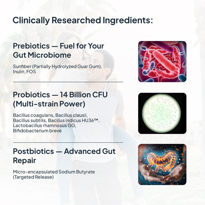 Ingredients in Miduty PROBIOTICS+ Supplement for Adults